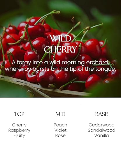 Miniatura 2 de M&SENSE Juego de difusor de varillas de cereza salvaje, 8.79 onzas líquidas, difusor de aceite esencial natural no tóxico con palos, ambientador,