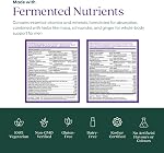 New Chapter Every Man's One Daily Multivitamin - Supports Immune, Energy & Bone Health - Contains Fermented Ingredients & Organic Vegetables & Herbs - Vegetarian, Kosher & Gluten-Free - 90 Tablets