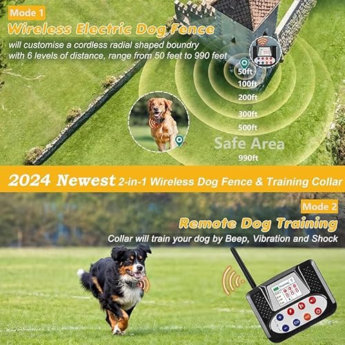 Dog Collar in Use Outdoor