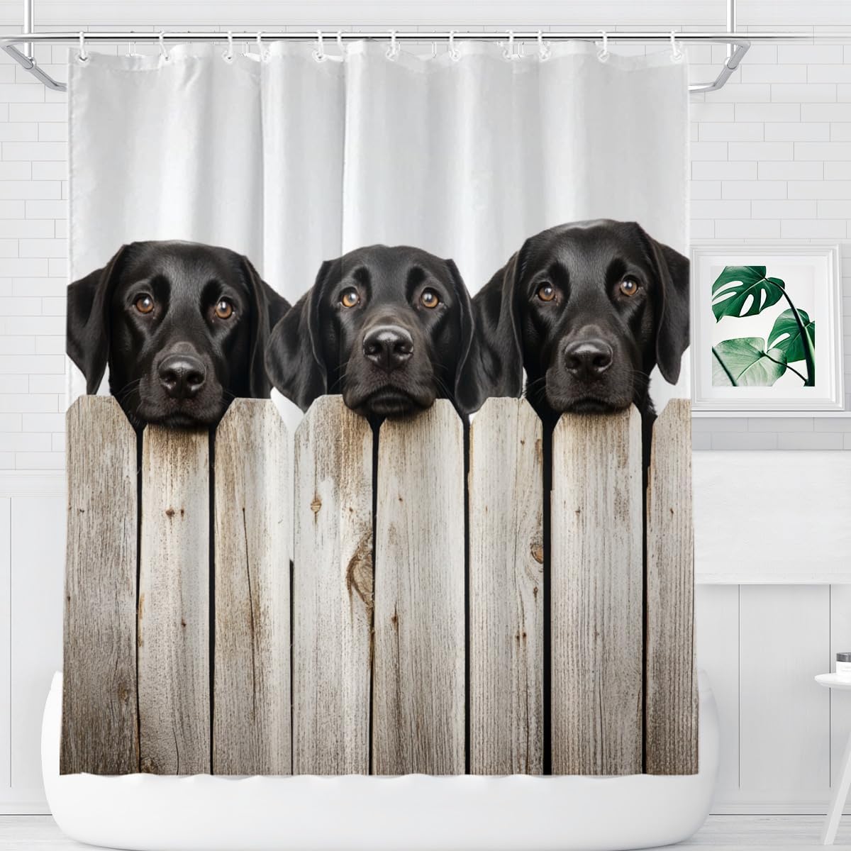 Labrador Retriever Shower Curtain, 72x72 Inch, Polyester, Waterproof, HD Print, 12 Hooks