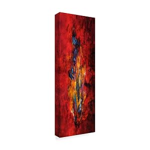 Trademark Fine Art ALI37768-C619GG Fine Art Multicolor