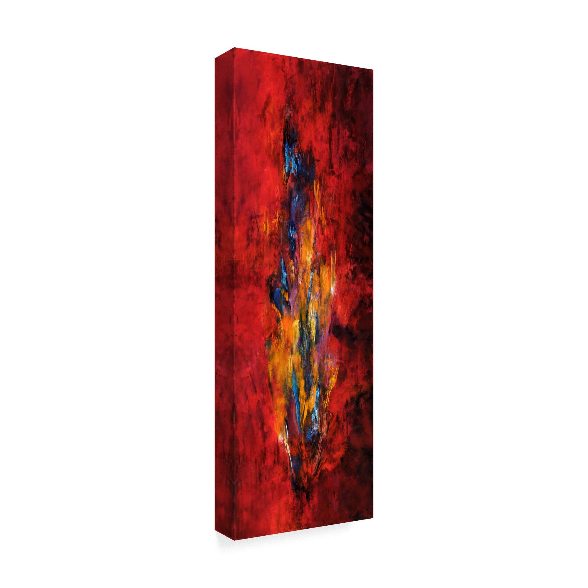 Trademark Fine Art ALI37768-C619GG Fine Art Multicolor