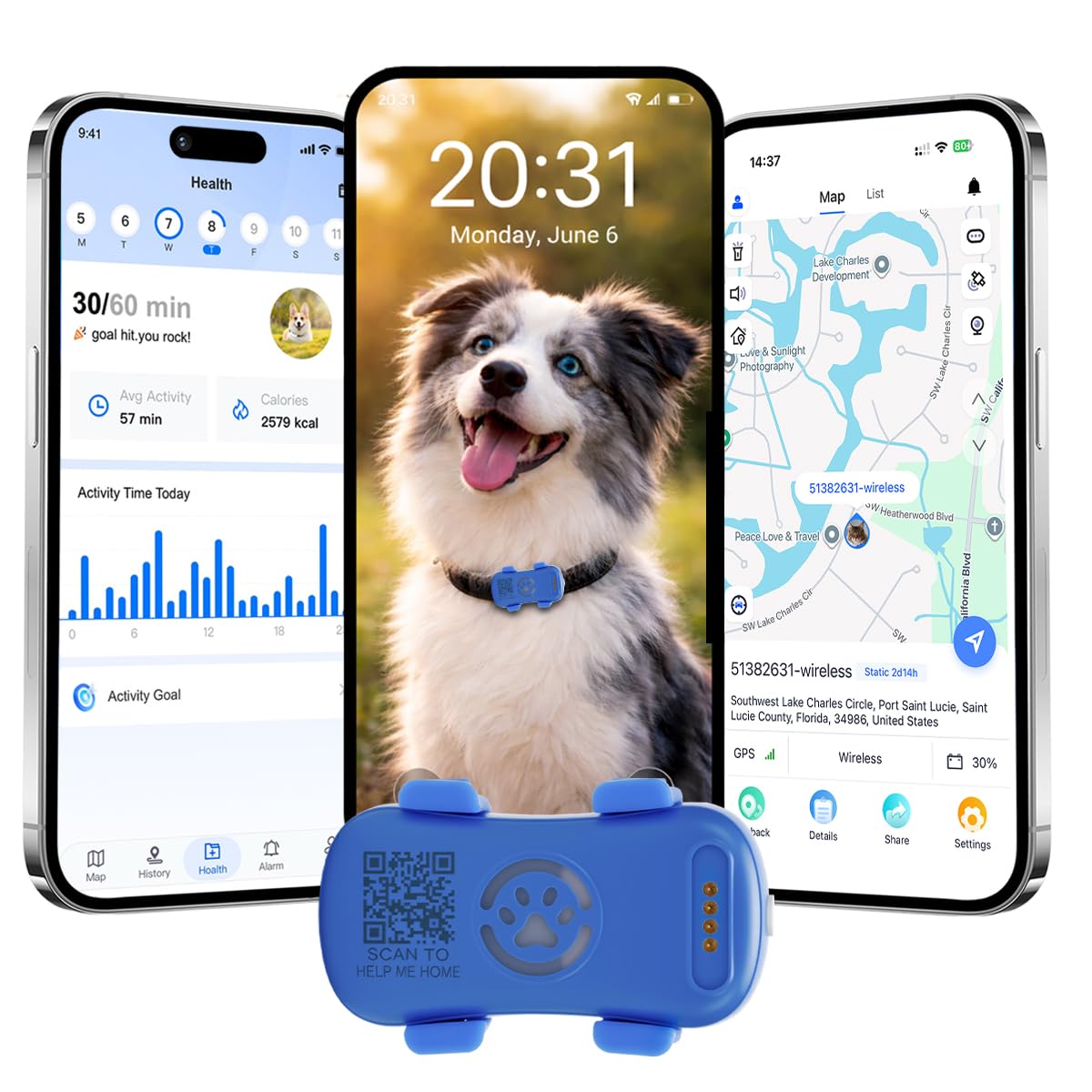 Amazon.co.jp: 犬用のGPSトラッカー アクティビティとウェルネス