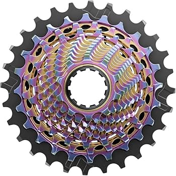 Amazon.com : SRAM RED XG-1290 Cassette - 12-Speed, 10-36T, for XDR