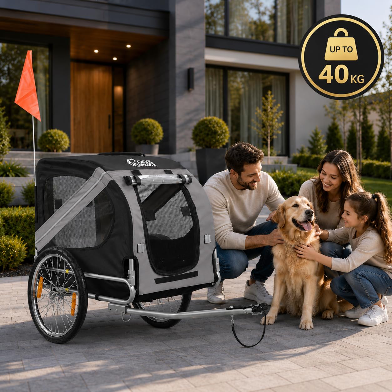 zoomundo Fahrradanhänger Hundeanhänger für Hunde-Transport Silver Frame