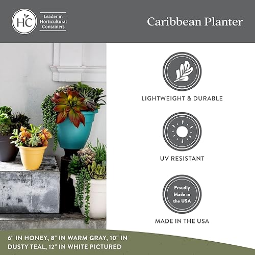 Miniatura 3 de The HC Companies, Caribbean - Maceta de plástico y ligera de 6 pulgadas para interiores y exteriores, maceta para hierbas y flores, color negro