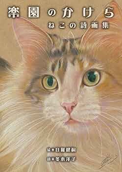 71VOyGCFTQL._AC_UF350,