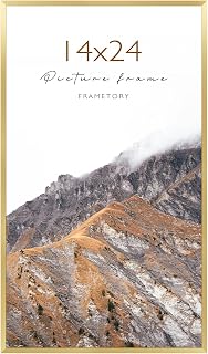 Frametory 14x24 Gold Aluminum Picture Frame Acrylic Cover 1 Pack