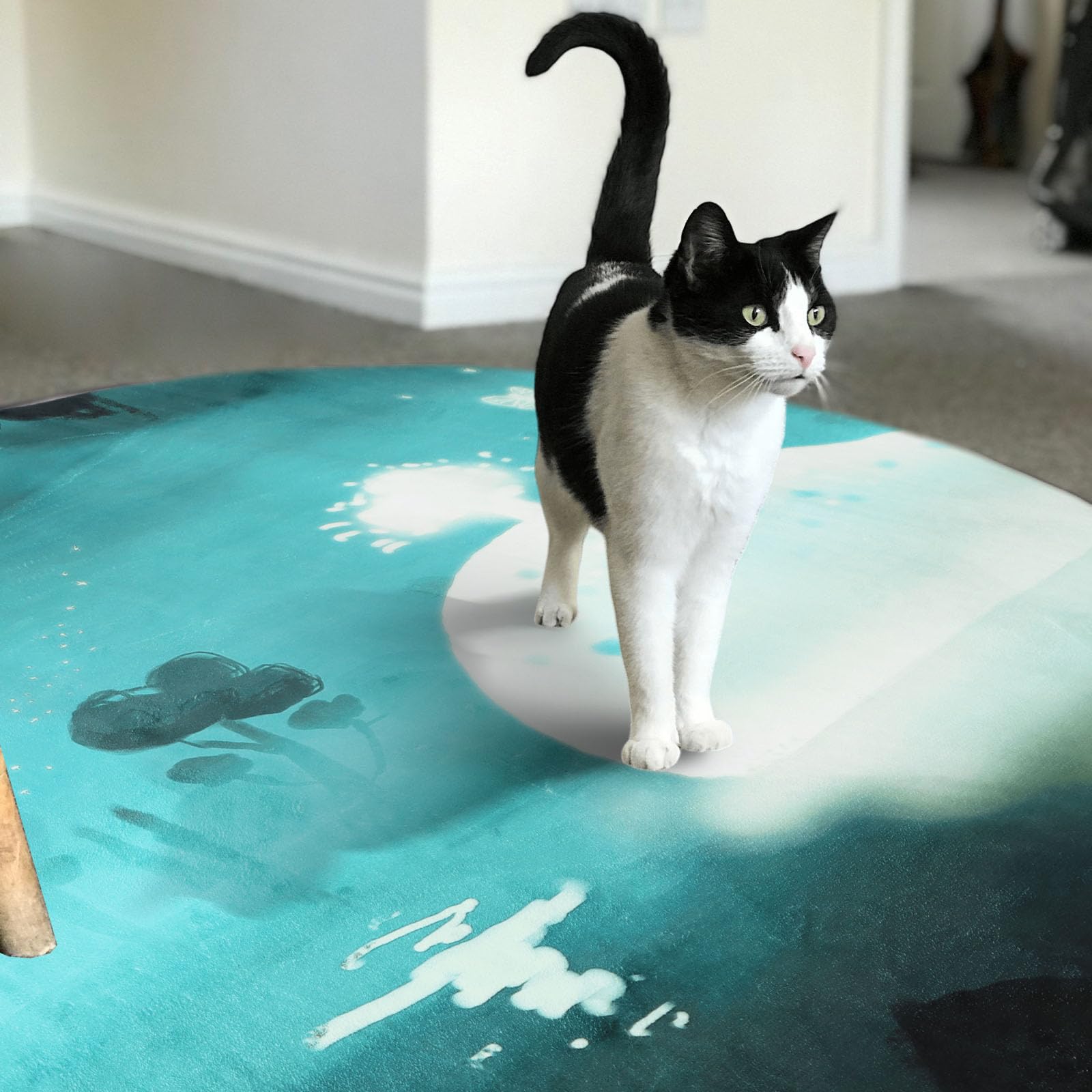 Betadistor Round Rug 4-Feet Blue Rugs – Cartoon Whale Washable Non Slip TPR  Backing for Living Room Study Room Girls Room, Boys Room 405-04120 –  BigaMart