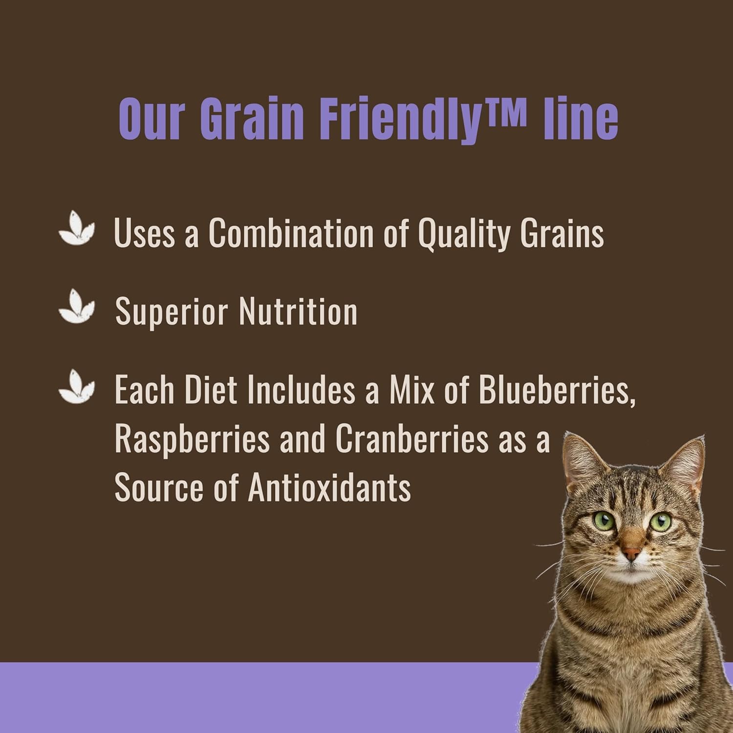 FirstMate™ Grain Friendly Indoor Cat Formula Cat Food 5 Lbs