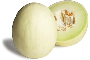 Organic Cantaloupe: Savor the Sweetness of Nature's Golden Treat