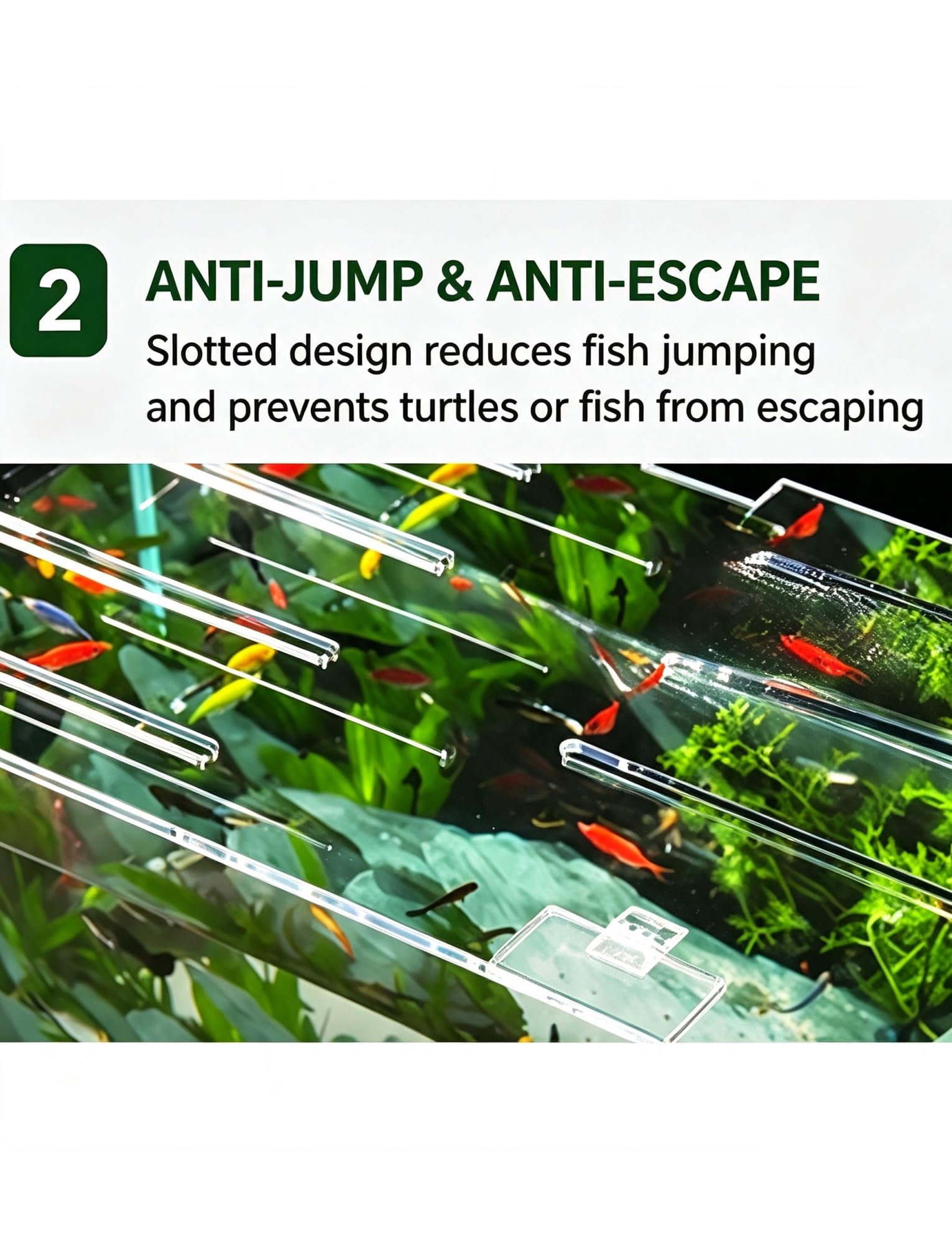 Coperchio in Acrilico per Acquario 5mm, Anti-Fuga e Trasparente
