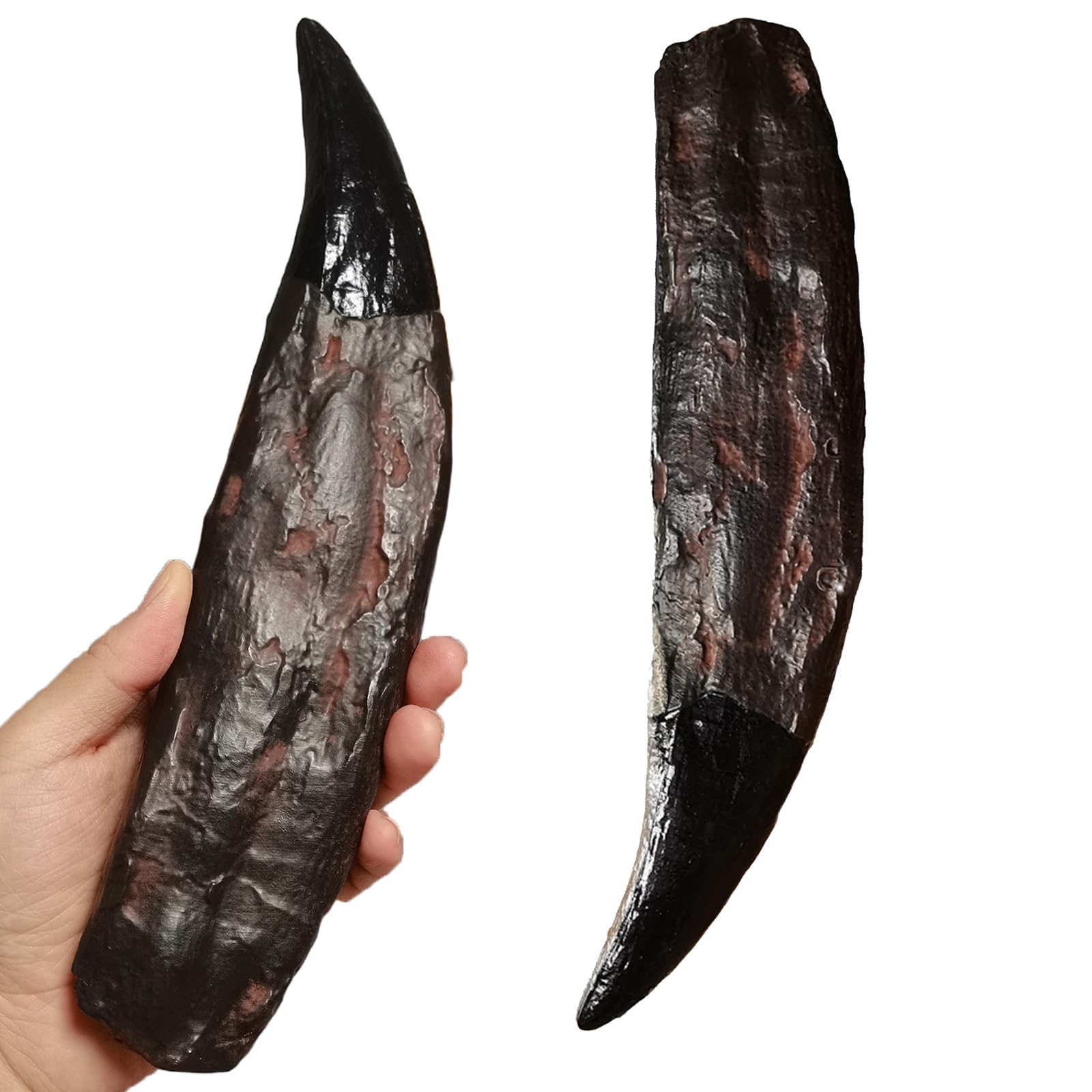 T-Rex - Estatua de diente de calavera de dinosaurio, réplica de fósil para regalo decorativo coleccionable educativo