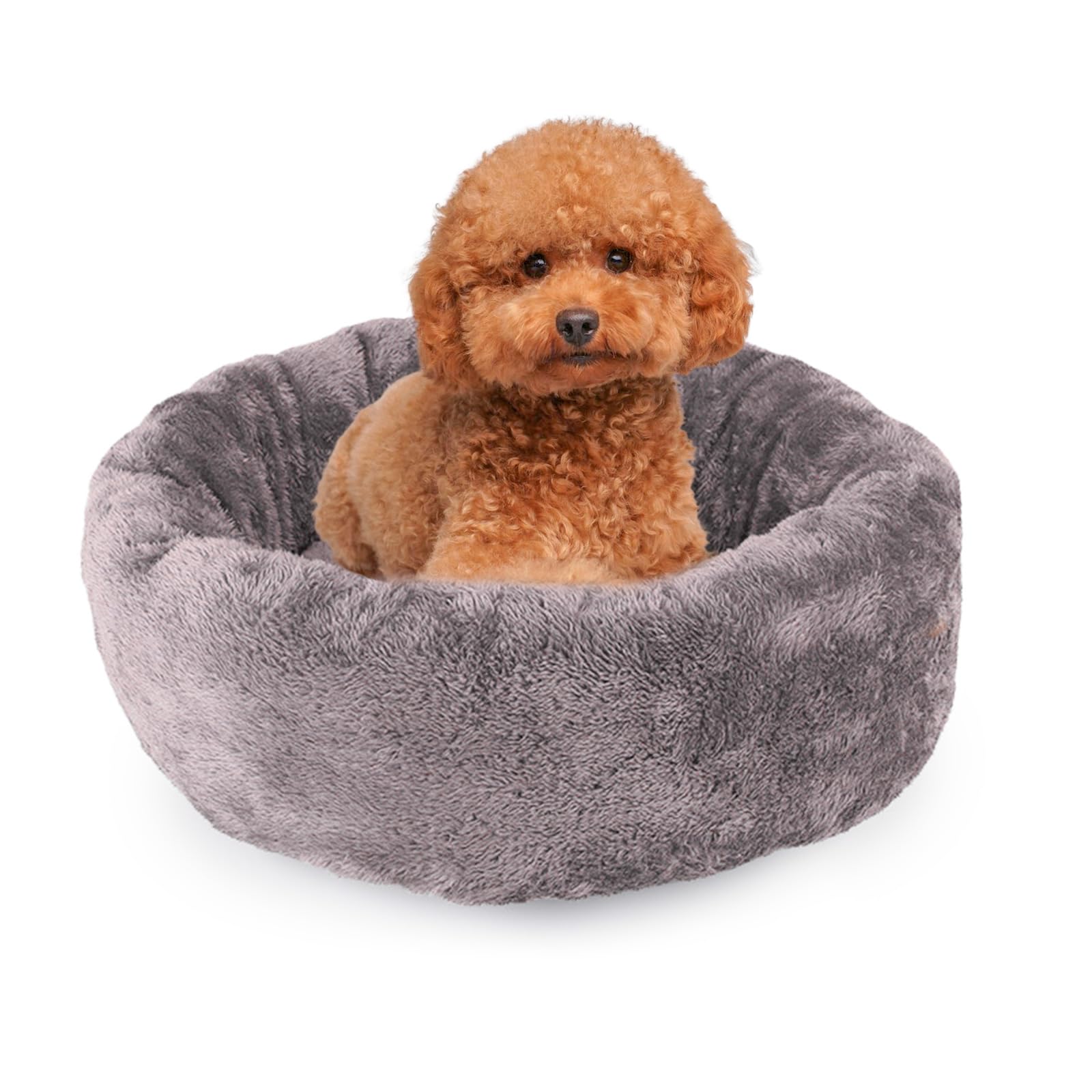 PETCUTE Cama para Perros Pequeños Cama para Gatos Mullido Redondo Cueva del Gato Cachorro Nido de Gato Suave de Peluche