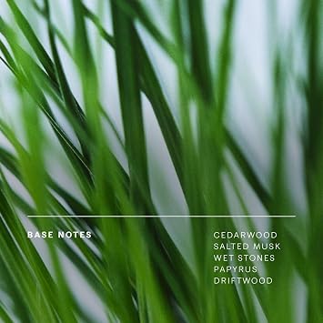Floating Forest Perfume - Rich Aquatic Floral Eau de Parfum with Notes of Bergamot, Freesia, Rose & Musk - Luxury Perfume Inspired by Rainforests - Modern Unisex Fragrance - 9.5ml