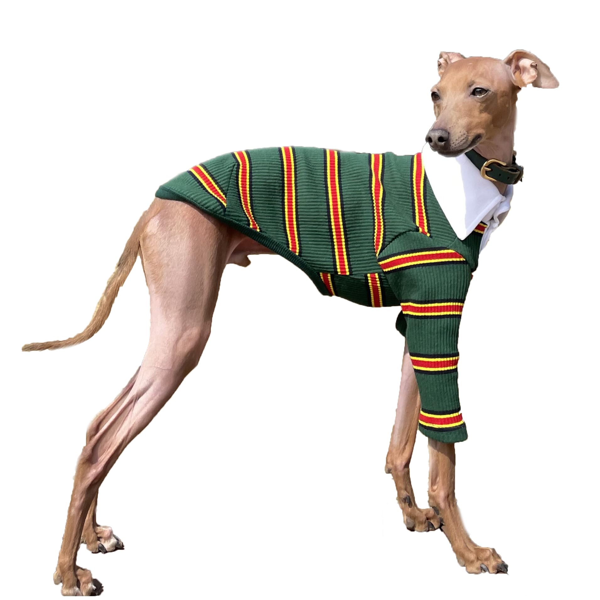 D Doggy Star Italian Greyhound Clothes Collared Stretchy T Shirts Whippet for Dogs (XL,Collared Green) — image 1