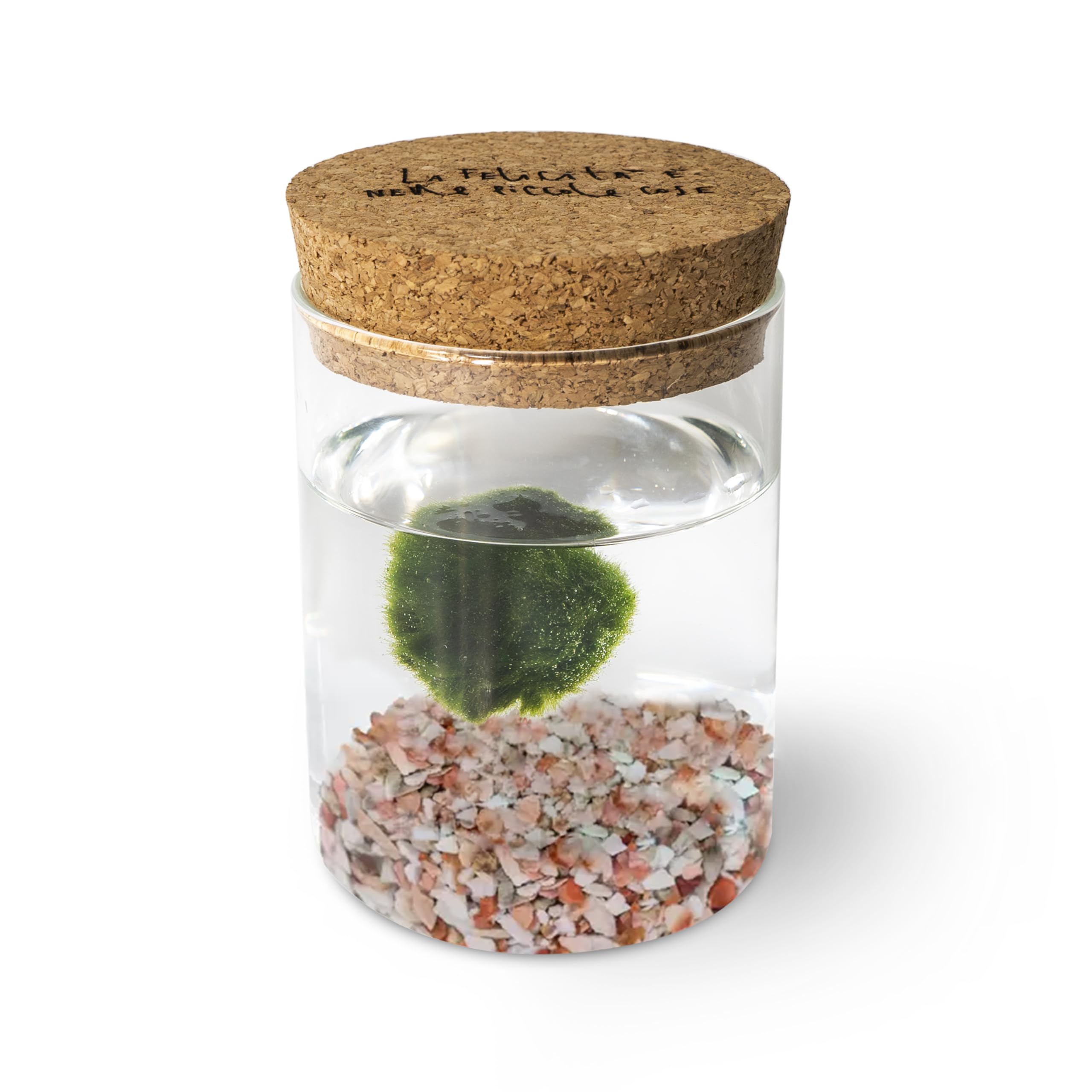 KAKI La Felicità è Nelle Piccole Cose Marimo Singolo Originale Vaso Vetro con Tappo Sughero Felicità, Artigianale, Fondale Rosa, Diametro 8cm, Altezza 11cm, Made in Italy