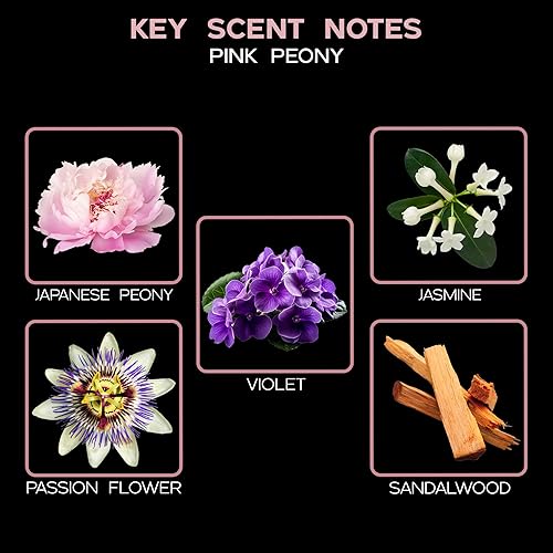 Miniatura 169 de LOVSPA Aceite Difusor Ocean Driftwood - Aceites Esenciales de Lujo para Recarga de Difusor y Ambientador en Aerosol para Habitaciones - Fragancia