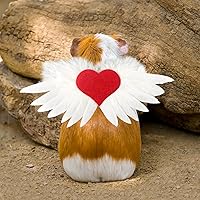 Vista 4 de Vehomy Traje de 2 piezas para el día de San Valentín, alas de ángel con corazón de amor, disfraz de corazón de amor para mascotas pequeñas, chaleco