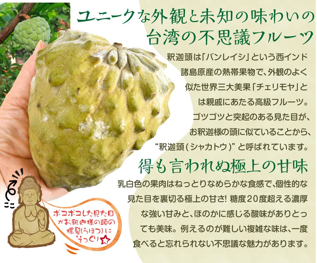 Amazon | 冷凍 アテモヤ カット 台湾産 360g (120g×3袋) 熱帯果実 食品