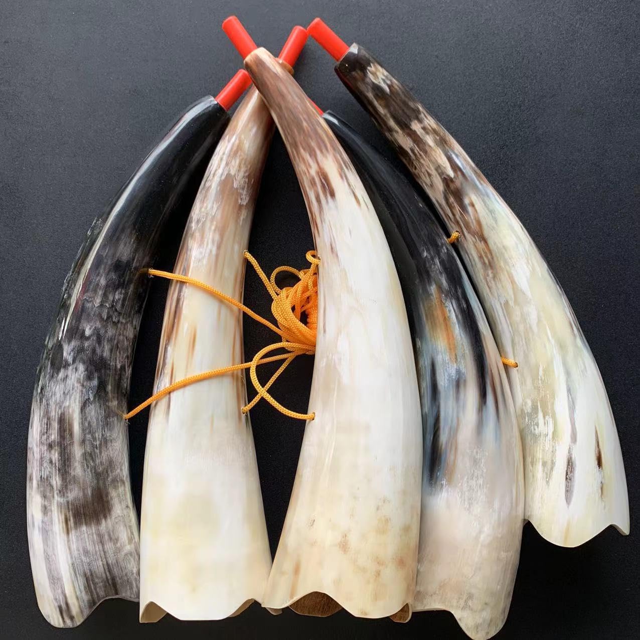 Viking Horn Trumpet Sounding Horn Viking Instrument for Birthday Halloween Christmas Holiday Party Favors (30cm,1Pcs)