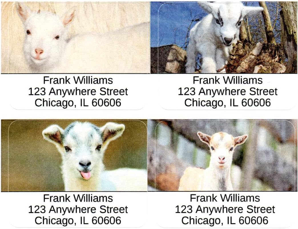 Kid Goats Address Labels