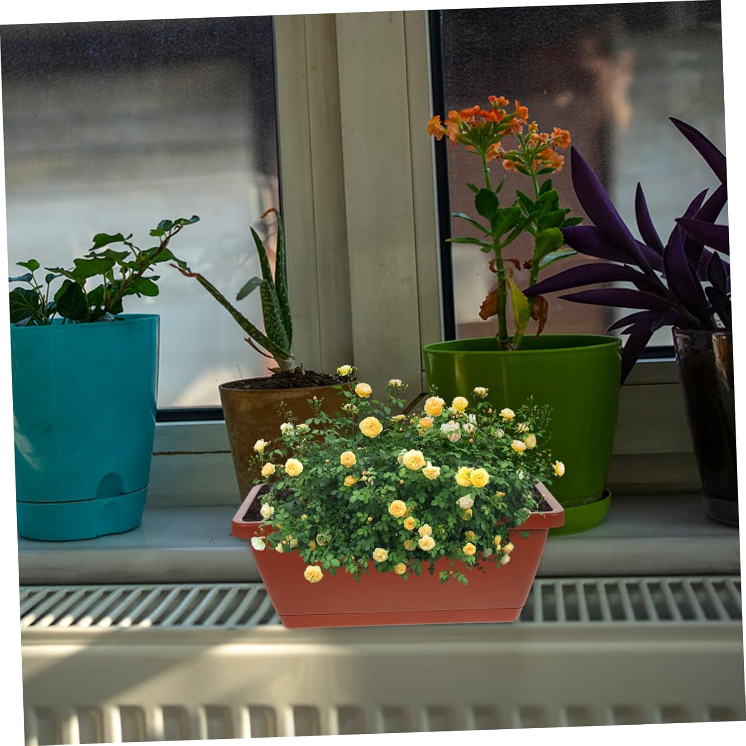 BESTOYARD 4pcs Box Rectangular Pot Outdoor planters Bonsai Flowerpot Planters Outdoor Balcony Garden Vegetable pots Indoor pots for Plants Office Bonsai Pot Plastic Rural Planter Box