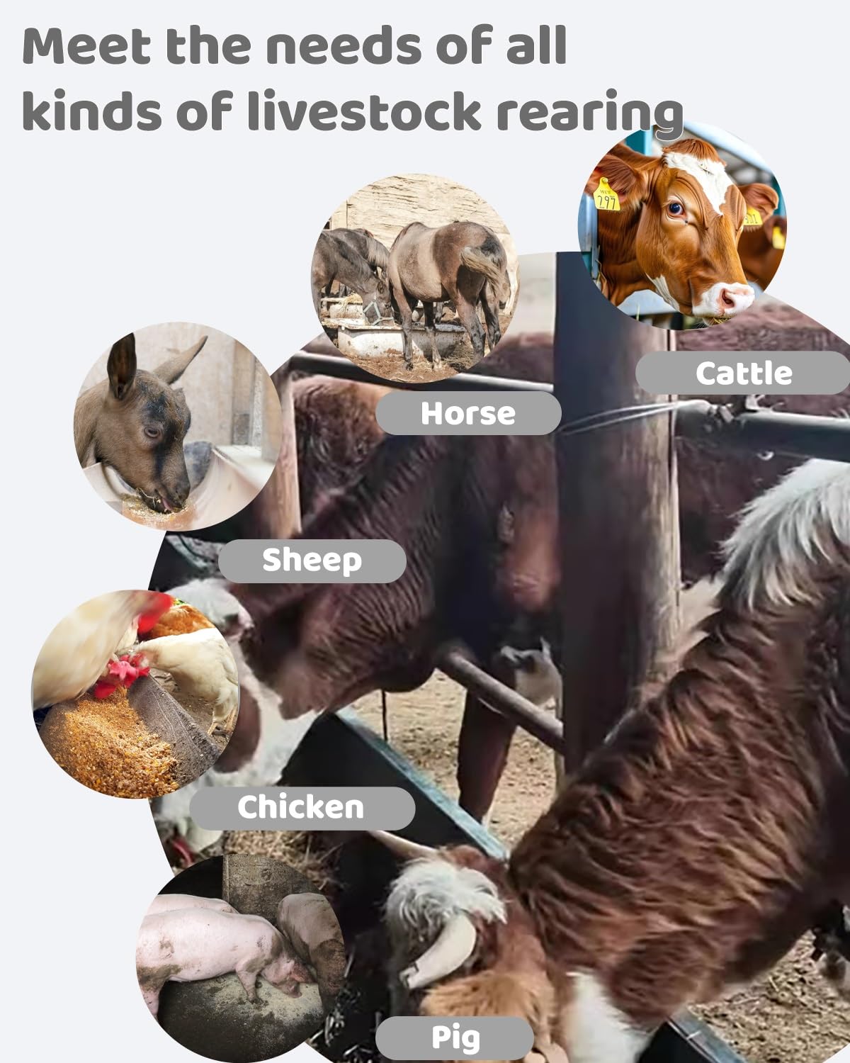 Comedero de acero inoxidable para ganado con soporte, alimentador de agua y pienso resistente para cerdos, caballos, ovejas y aves de corral