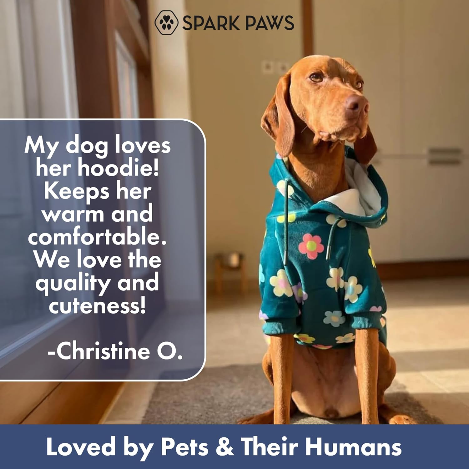 Spark Paws Dog Hoodie – Premium Dog Sweater for Small, Medium, and Large Dogs | Warm Outfits for French Bulldogs, Pitbull, Puppy, Winter Jacket Alternative - Daisy - XL