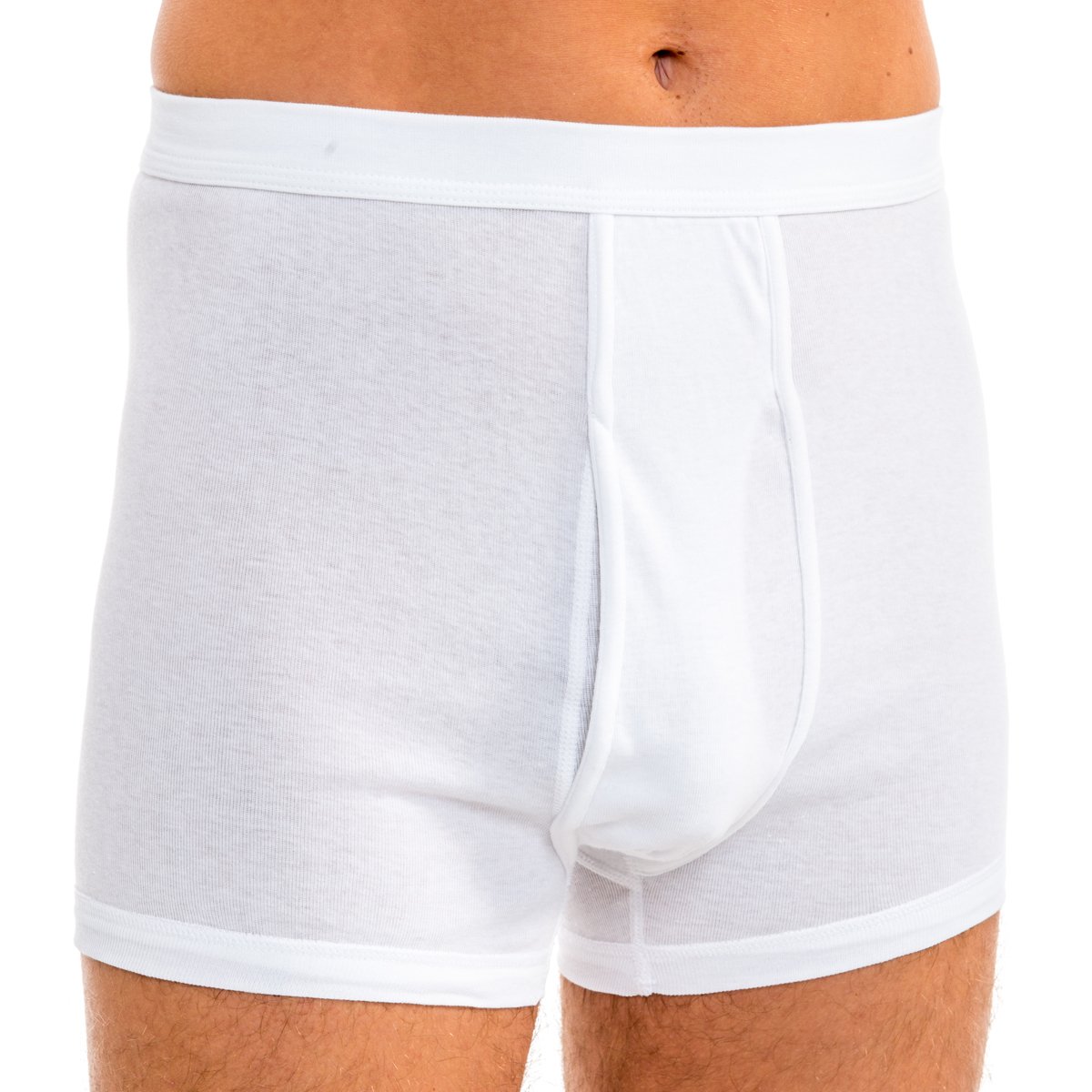 HERMKO 3940 4er Pack Herren Pagen mit Eingriff Schlüpfer und angeschnittenem Bein hoher Bund/Leib aus 100% Bio-Baumwolle