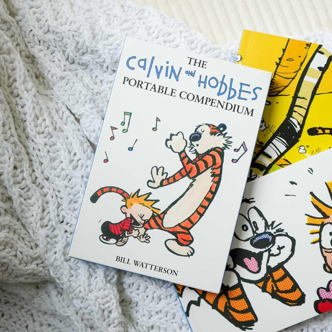 Calvin and Hobbes Portable Compendium Set 6: Volume 6