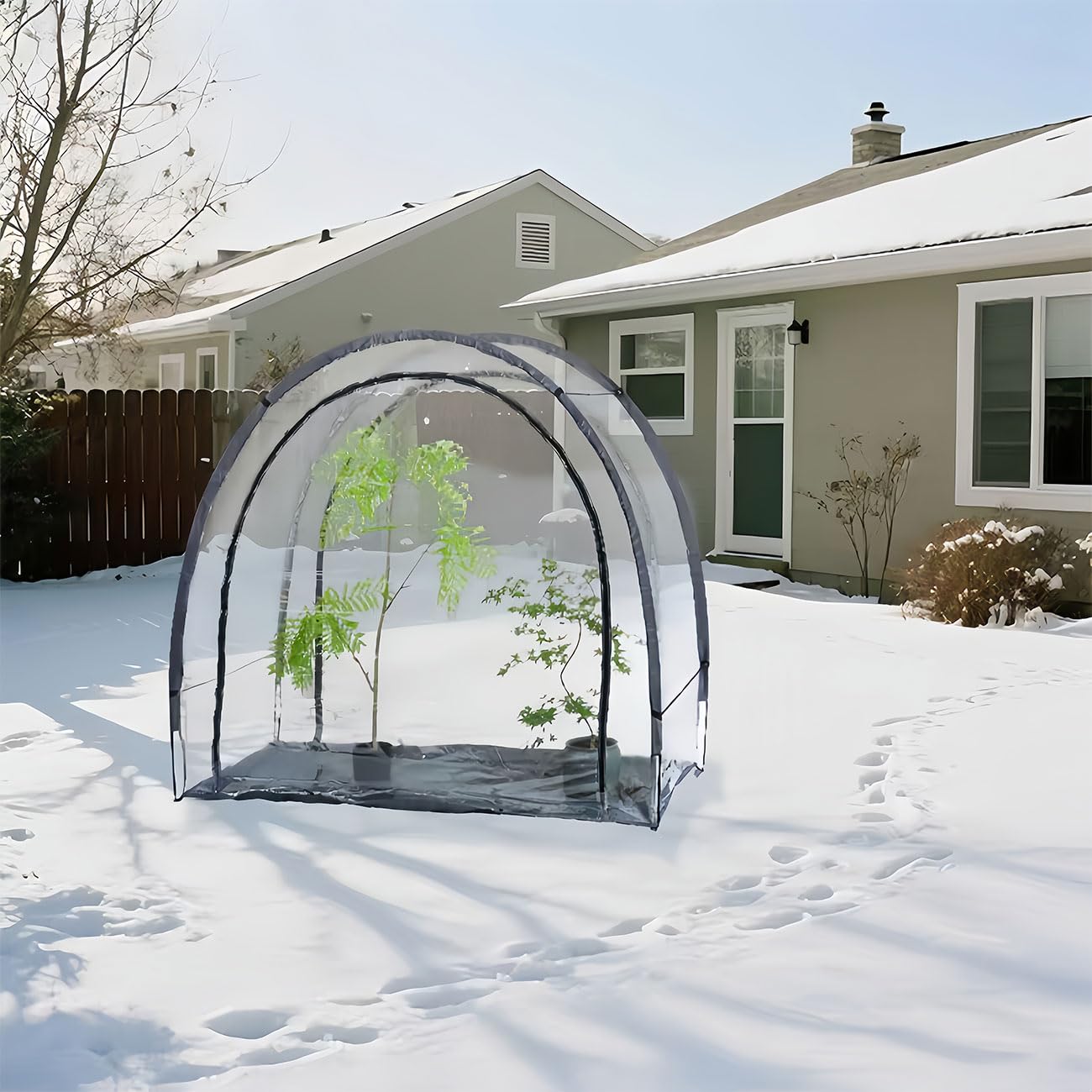 Ideoon 2er-Set Robustes Foliengewächshaus und Überwinterungszelt, 175x186x84 cm: EIN Pflanzenschutz für optimale Ernte & frostfreie Pflege (Modell 2026)