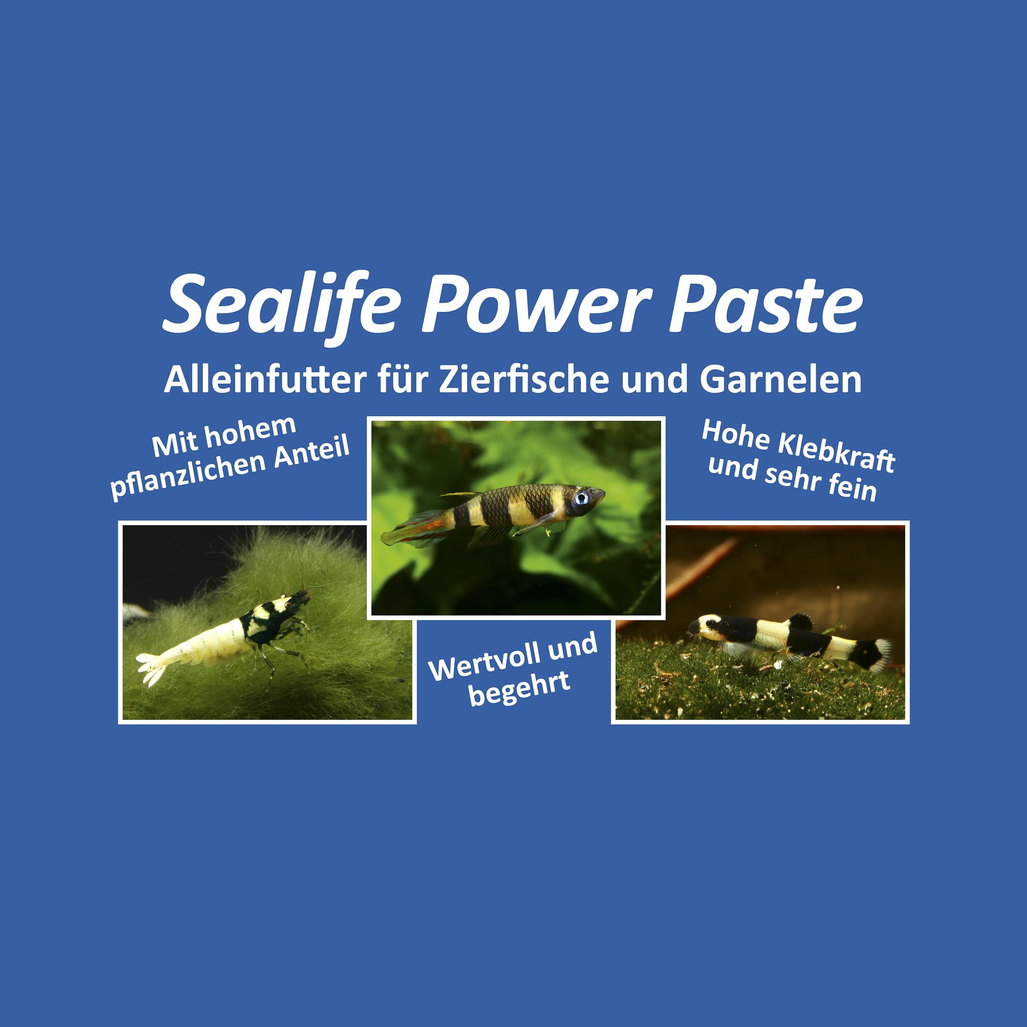 3er-Set Sealife Futter Pasten - Fischfutter und Garnelenfutter Farbfutter Aufzuchtfutter Hauptfutter