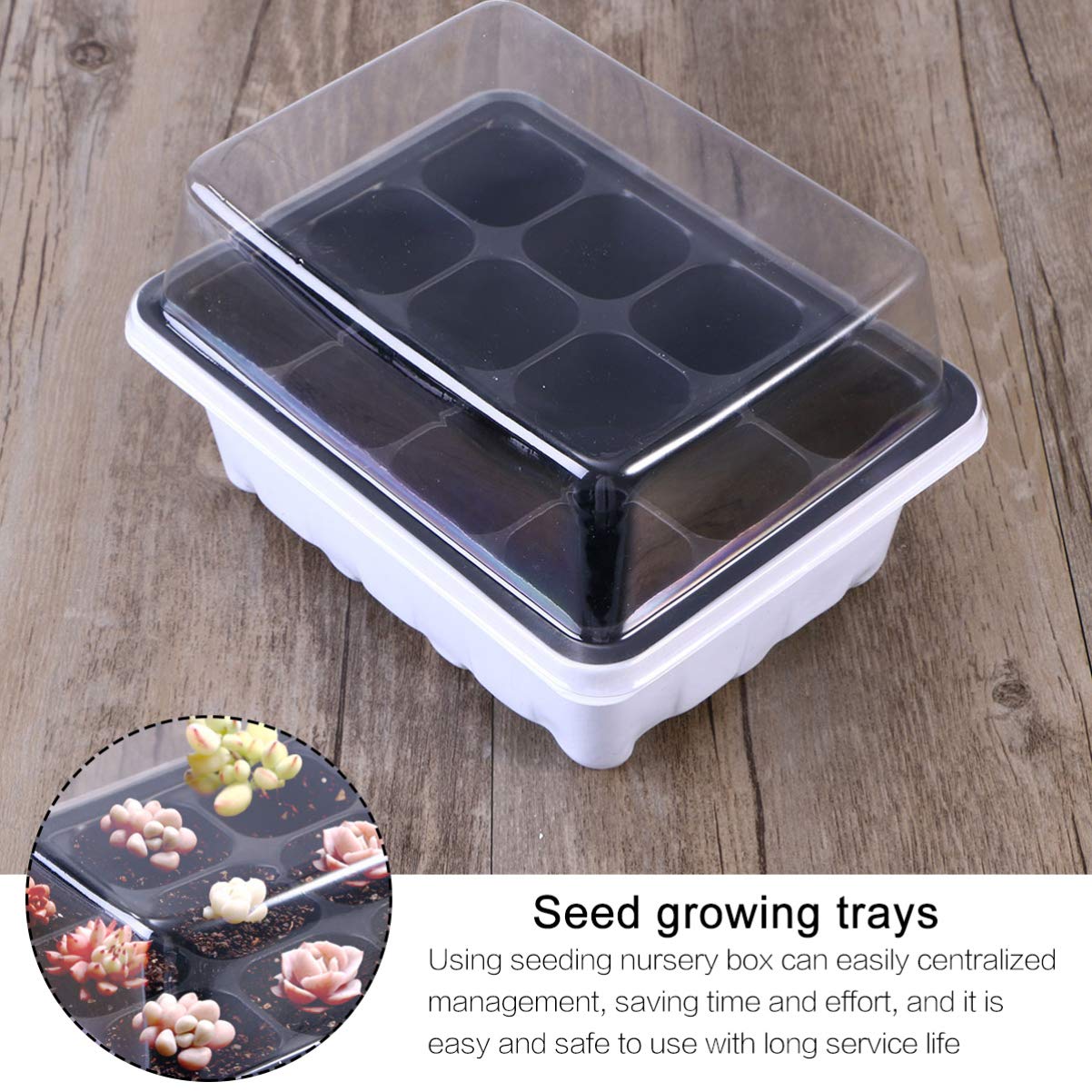 BESPORTBLE Vaschette Semenzaio 10 Confezione 12 Celle Plastico Bianco | Pervious To Light, Drain Holes e Proper Drainage, Gardening per Small Plants e Peppers