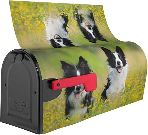 Miniatura 3 de Dujiea Border Collie - Cubierta magnética para buzón de correo, cubierta magnética para buzón de correo, tamaño grande, 25.5 pulgadas de largo x 21
