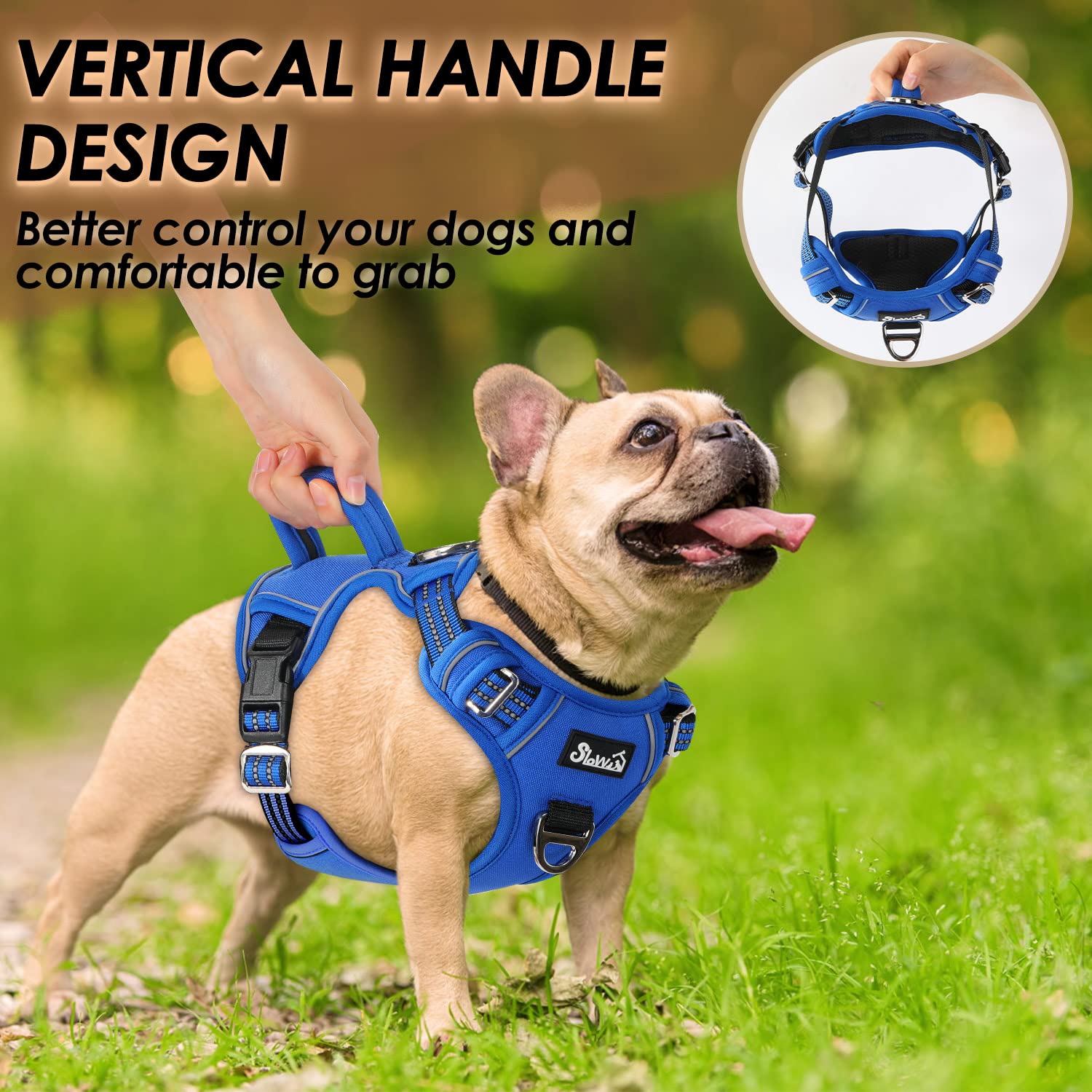 Eyein Dog Harness Small Dog, Anti Pull Adjustable Heavy Duty Pet Vest Harness with 2 Clips, Easy Control Escape Proof Puppy Harness with Soft Padded Handle Reflective for Outdoor Training Walking, S - Image 4