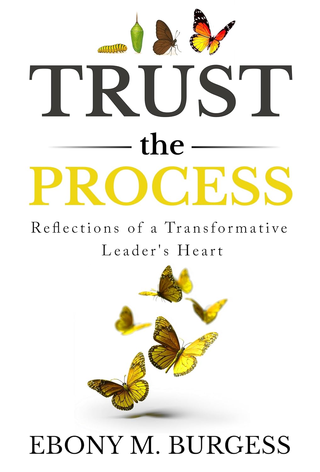 Trust the Process: Reflections of a Transformative Leader's Heart      Kindle Edition