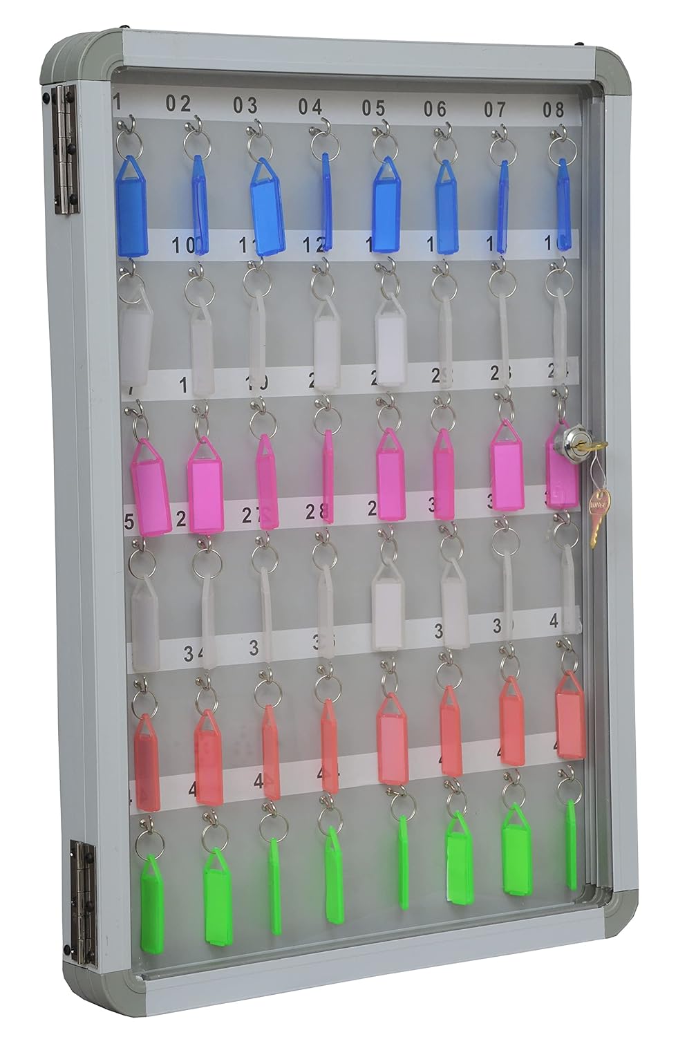 LEPOSE Heavy Duty with Customizable 48 Key Chains Key Holder for Wall