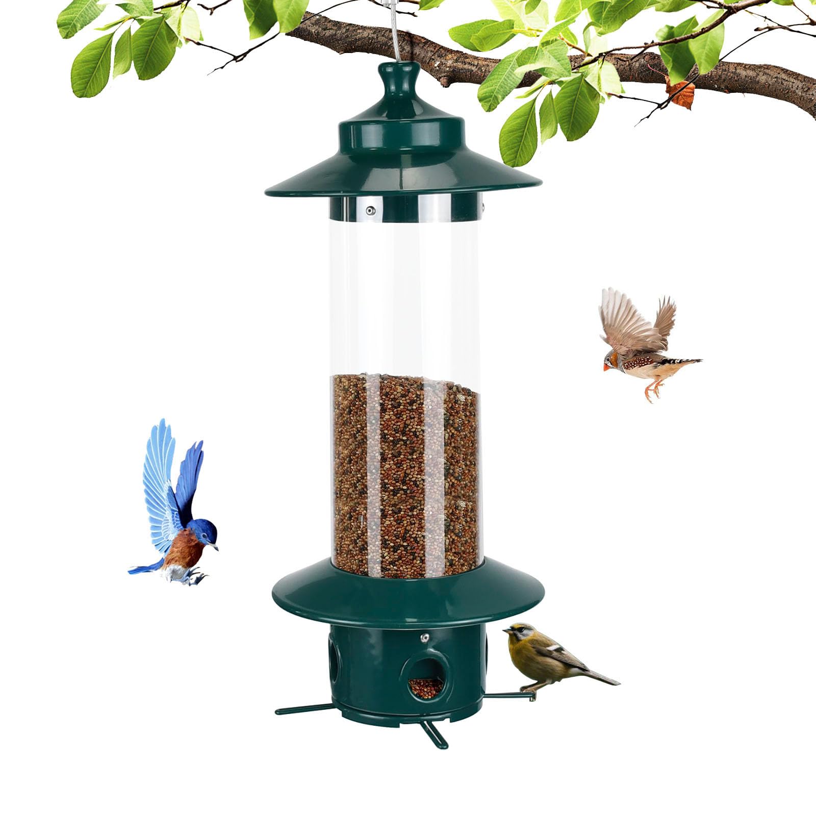 MAXDORIA 4.8LB Bird Feeder