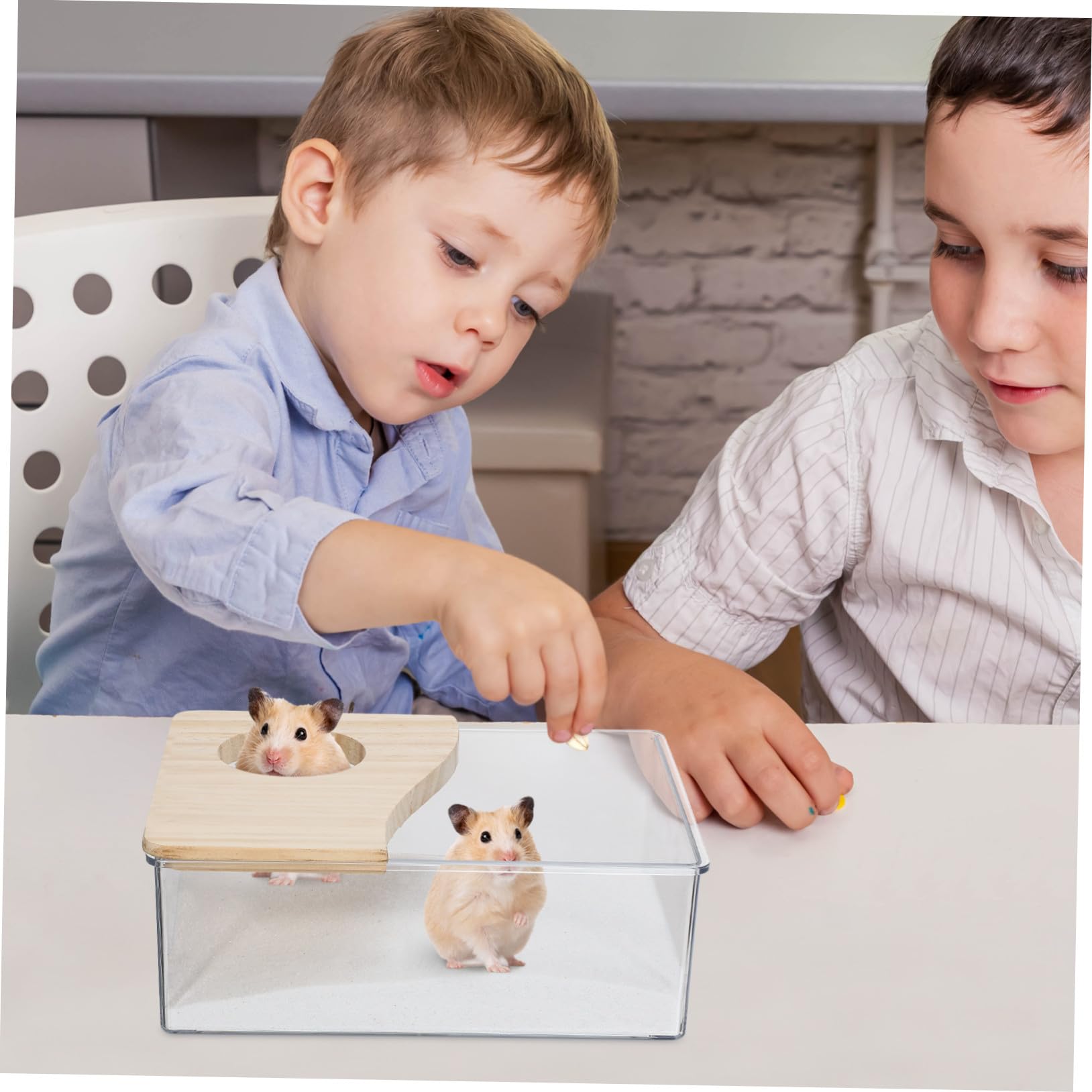 Durchsichtige Acryl Hamstertoilette und Sandbad für Ratten und Wüstenrennmäuse Einfach zu Beobachten Staubfreies Sandbad für Kleintiere im Badezimmer