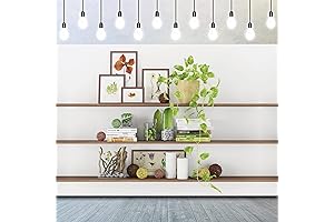 CSFOTO Office Backdrop: Elevate Your Virtual Presence