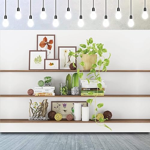CSFOTO Telón de fondo moderno de 10 x 7 pies para sala de estar, estantería de plantas verdes, telón de fondo de oficina para videoconferencias,