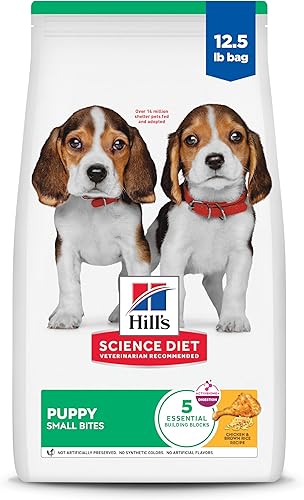 Hill's Science Diet Puppy, Puppy Premium Nutrition, croqueta pequeña, comida seca para perros, pollo y arroz integral, bolsa de 12.5 libras