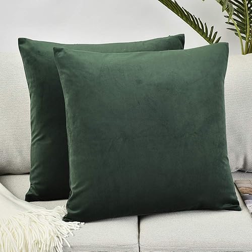 Miniatura 2 de Rythome Juego de 2 cómodas fundas de almohada para ropa de cama, fundas decorativas para sofá y sillón, terciopelo sólido suave con cremallera