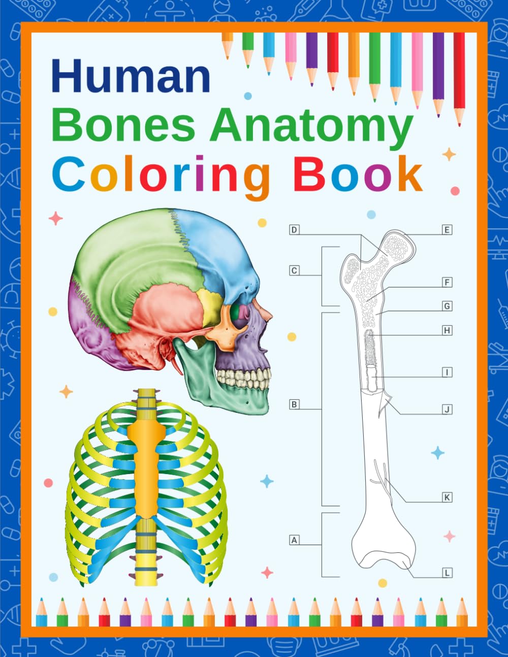 Human Bones Anatomy Coloring Book: A Visual Guide to the Human Skeletal System