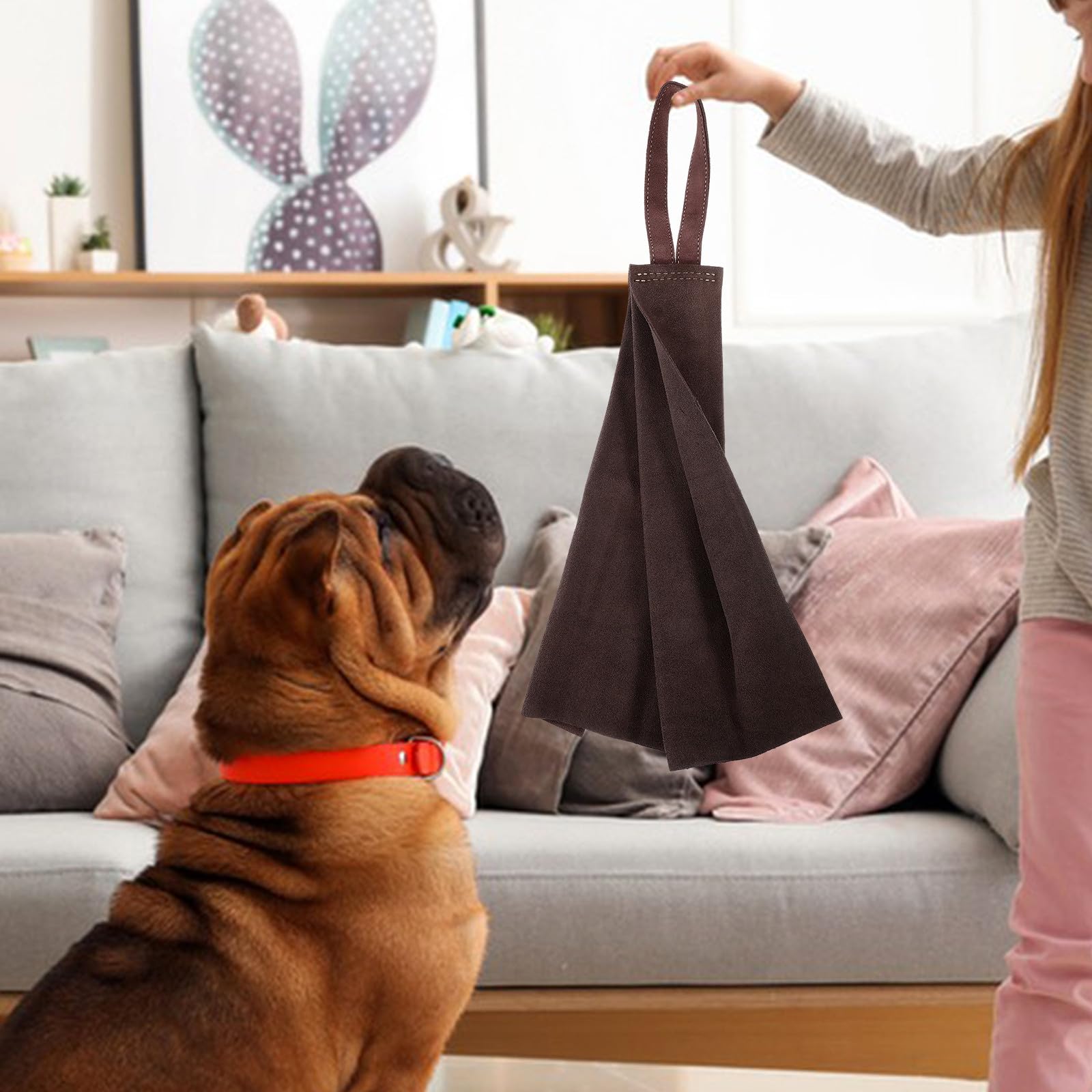 Trapo de Mordida Profesional para Perros, Juguete Resistente al Desgaste de Piel de Vacuno, Tamaño Mediano, Juguete para Tirar y Entrenar Cachorros, Suministros para Mascotas