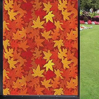Orange Window Film Privacy Film,Colorful Autumn Fall Season Maple Leaves in Unusual Designs Nature Print Decoration for Bathroom Office Living Room,Burnt 24 inch x 36 inch, 24x36 inch