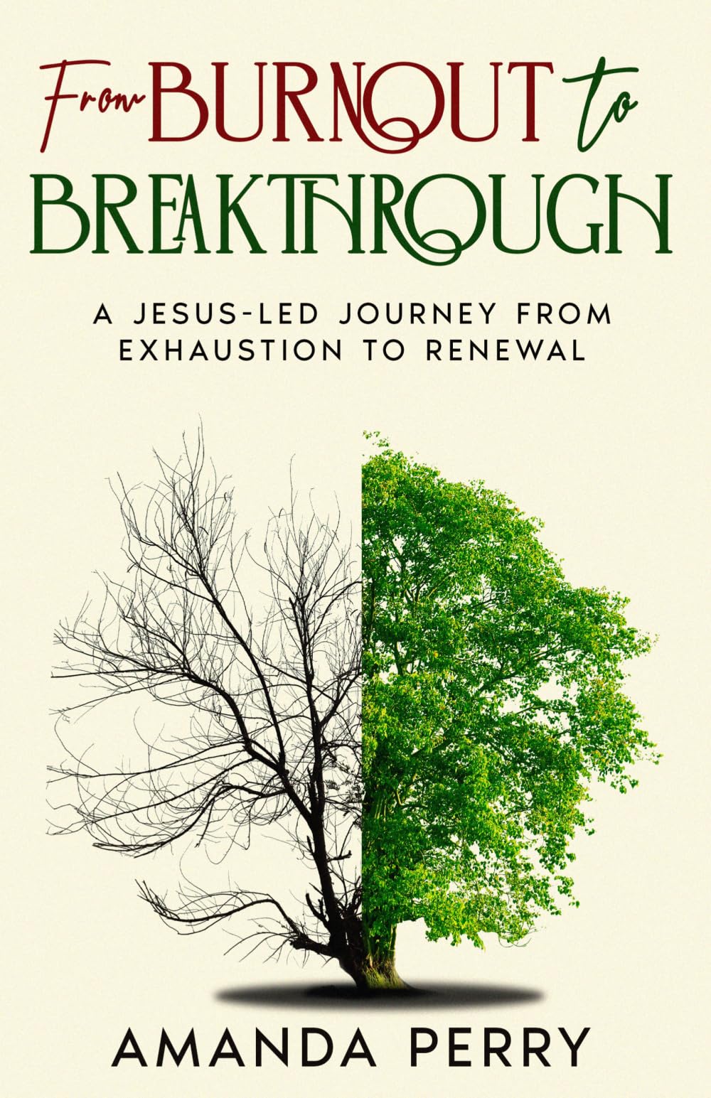 From Burnout to Breakthrough: A Jesus-led Journey from Exhaustion to Renewal