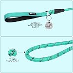 Heavy Duty Dog Leash - Durable & Reliable Pet Leash for Walking, Training & Control - Reflective for Safety - Adjustable Length - Comfortable Handle - Suitable for Large & Small Dogs (Green)