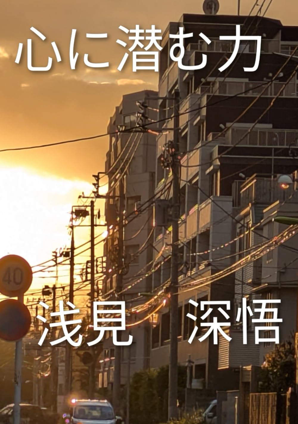 心に潜む力: 潜在能力を生かす